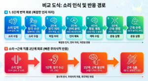 영어 스피킹 번역 회로와 직통 회로 비교 도식